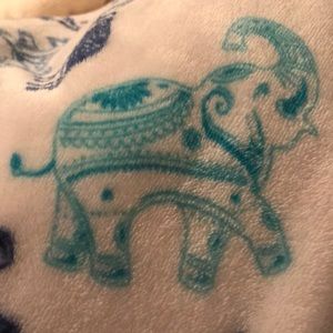 Meet your Posher, Delsa